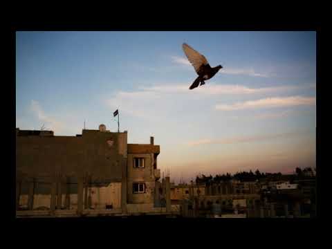 "Dear Ocean" - The Narcicyst and Stefan Christoff (2010)