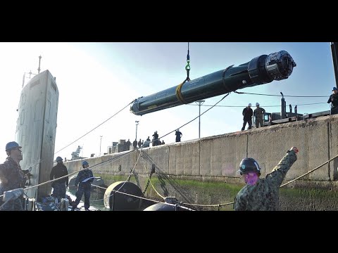 WORLD NAVIES WANT TORPEDOES THAT KILL OTHER TORPEDOES