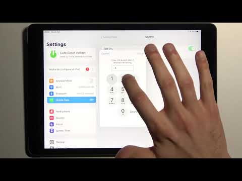 How to Set Up SIM Card PIN Code on iPad 2021 - SIM Protection Setup