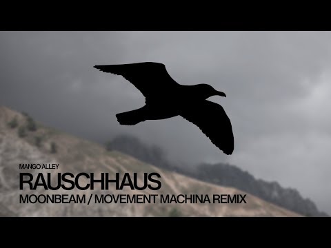 RAUSCHHAUS Moonbeam (Movement Machina Remix)