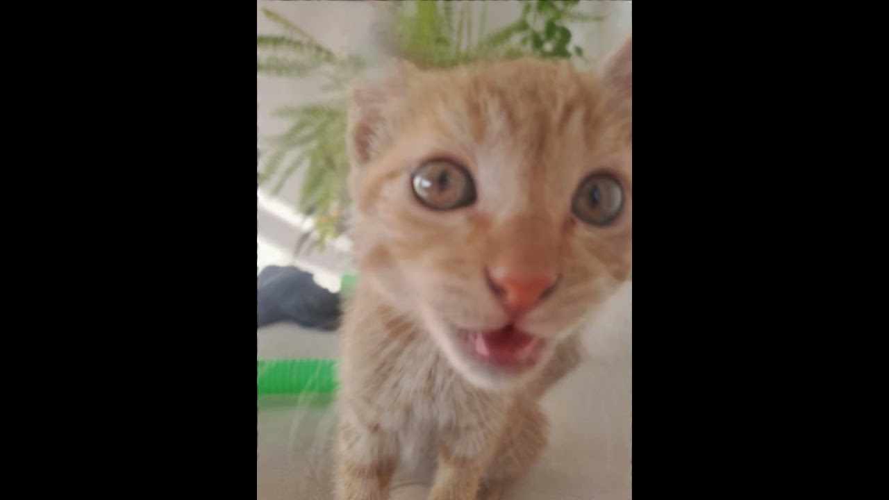 9 de noviembre de 2025