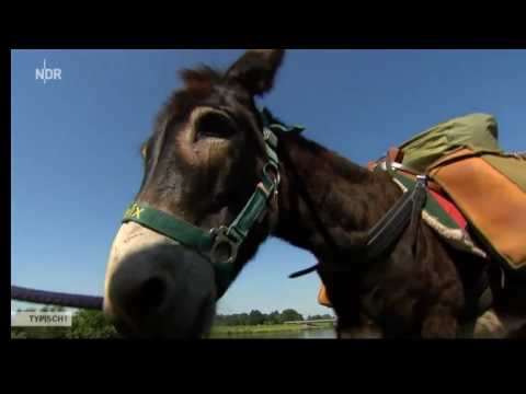 Doku NEU Mit dem Esel auf Wanderschaft