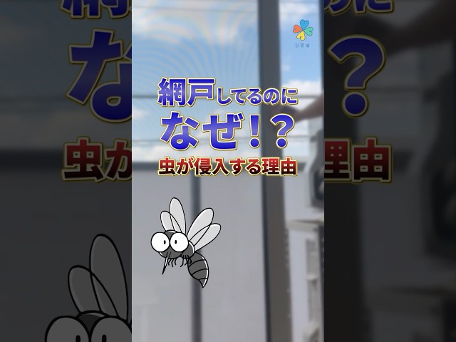 網戸していても虫が入る場合の対処法