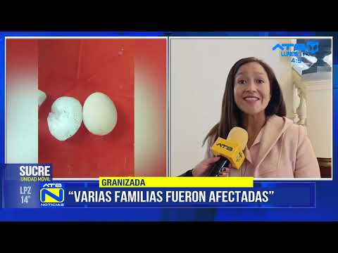 Granizada afecta a productores en Villa Alcalá