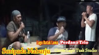 Download lagu lagu batak lama terbaik | Perdana Trio ~ Soripada Naburju mp3