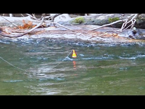 FLOAT FISHING STEELHEAD BOBBER DOWNS! Fall Steelhead Fishing In The Snow!