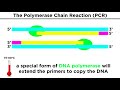 Biotechnology Genetic Modification Cloning Stem Cells And Beyond