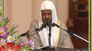 صورة 093 دلالة الإشارة