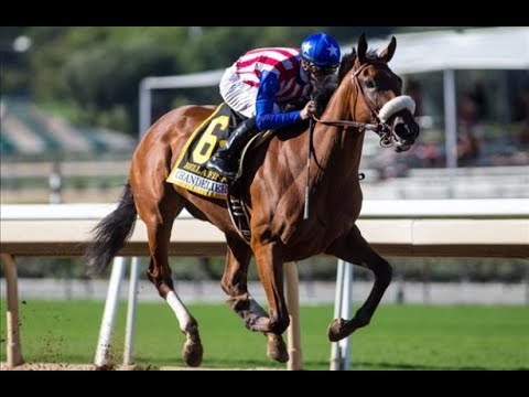 Chandelier Stakes (G1)  2018 -  Bellafina