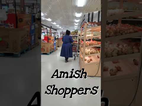 What You Might See In Amish Country...