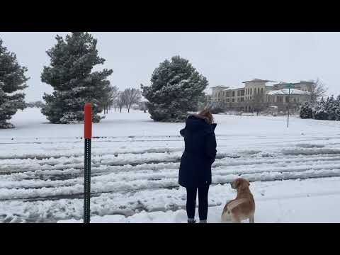 Lubbock Texas Snow Day January 10, 2021