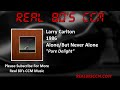 Larry Carlton - Pure Delight