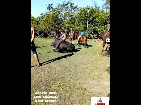 Alto Araguaia  Mato Grosso 2018. #mesegue #turismo #seinscrevaecompartilhe #viajar