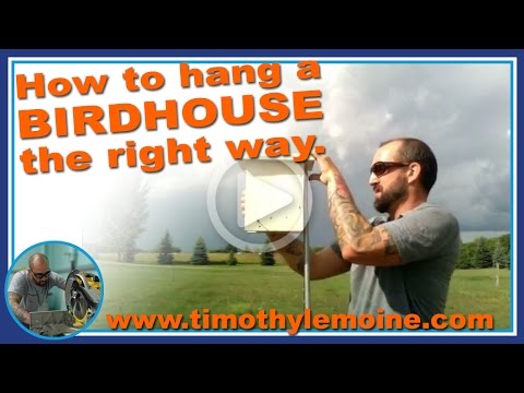 YouTube video about: How to hang a williamsburg bird bottle?