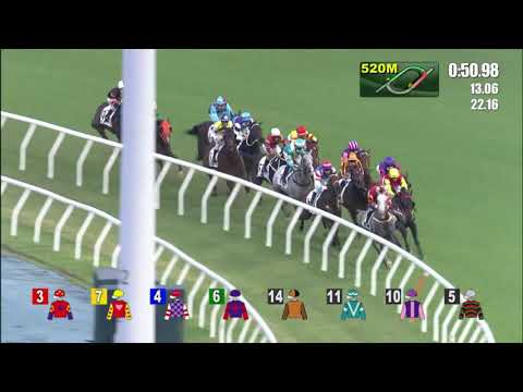 10/10/2021 (93) Golden Link - Matthew Chadwick