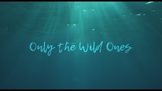 Only the Wild Ones Music Video