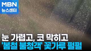 눈 가려워요…'봄철 불청객' 꽃가루 범벅 [MBN 뉴스센터]