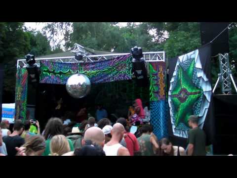 Psycrowdelica 2009 Kindzadza 3/3 (& Cosmo & Megalopsy & Kashyyyk)