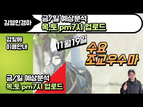 김영민경마 11/23-일요부산- 수요조교우수마 3두