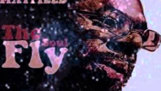 Curtis Mayfield   Right On For the Darkness