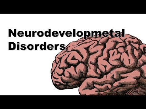 Neurodevelopmental Disorders | ID, ASD, ADHD, ODD & CD | SW 119 | BSSW-2C