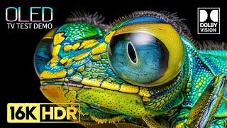 Download lagu BEST Dolby Vision HDR 16K 120 fps (8K / 4K Video TV TEST) mp3