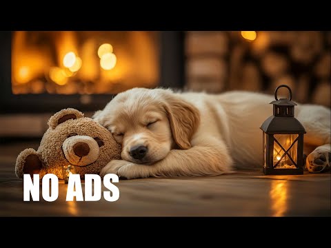 12 Hours of Deep Sleep Music for Dogs 🐶 Anti-Separation Anxiety Relief 🎵💖 Healing Dog Music 💖 No Ads