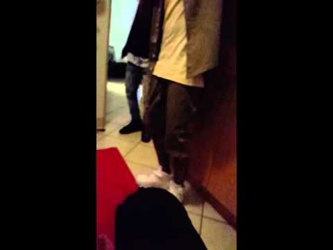 Daytee records with smashis