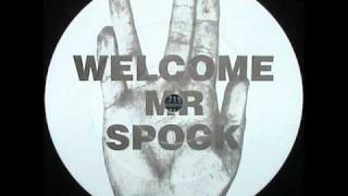 Unknown Artist - Welcome Mr Spock (NTT 12-19)