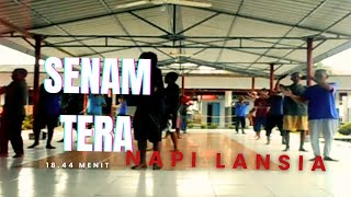 Download lagu SENAM TERA NAPI  TUA BANGKA DI LAPAS mp3