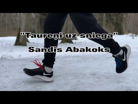 Taureņi uz sniega - Sandis Abakoks (Lyrics)