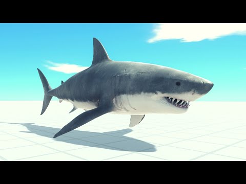 New Unit! Great White Shark Vs Every Unit ARBS | Animal Revolt Battle Simulator