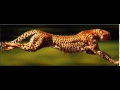 Terranova - Running Away (Stereo MC's Remix)