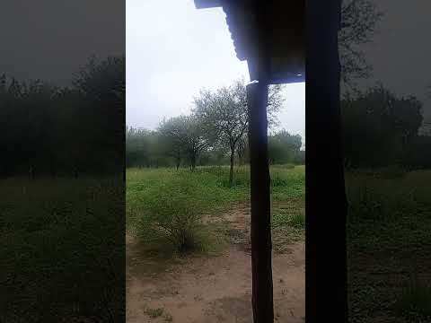 llueve en frías Santiago del Estero 😊