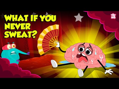 What if You Never Sweat? | Importance of Sweating | Anhidrosis Syndrome | The Dr. Binocs Show