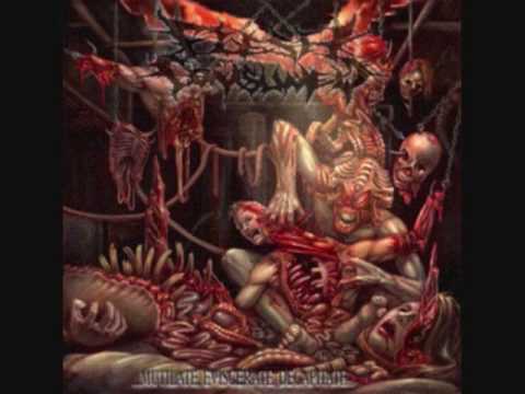 My favorite slam death metal breakdowns/grooves and Slam riffs PART 7