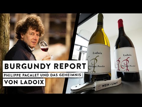 Das Geheimnis von Ladoix - Philippe Pacalet im Interview - Wein am Limit - Folge 498