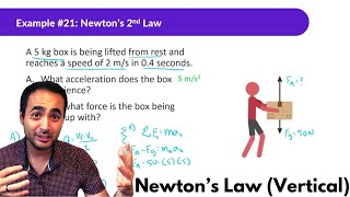 Newton's Laws | Conceptual Physics | Vertical Motion