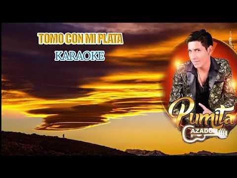 Tomo con mi plata¿Pumita cazador en karaoke oficial?