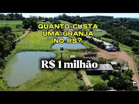 🐷 Quanto custa uma granja no Rio Grande do Sul?