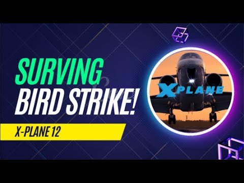 SURVIVING BIRD STRIKE!!!!! || X-Plane 12