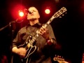 Swans - Your Property