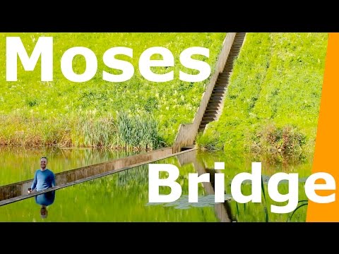 Architectural Gem Moses Bridge