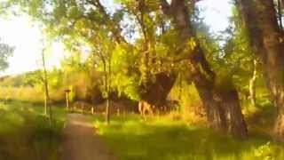 Circuito BTT I Triatlón Cros del Moncayo