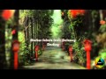 Markus Schulz feat. Delacey - Destiny (original ...