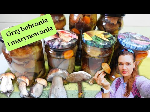 🍄 Grzybobranie i marynowanie w trochę inny sposób. Przepis na pyszne grzyby marynowane