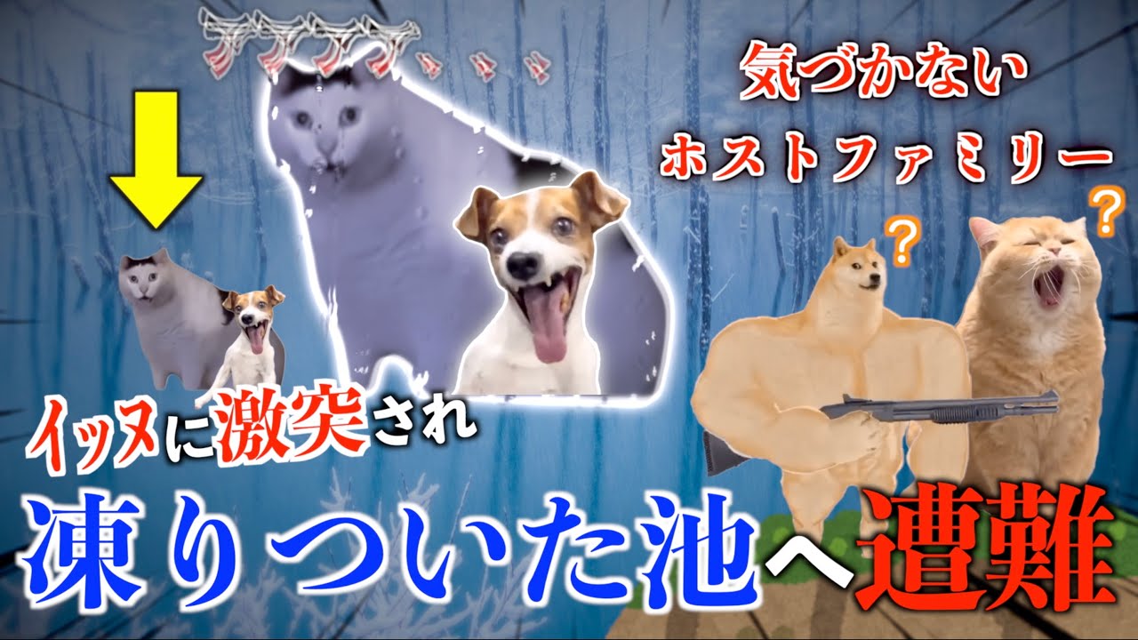 アメリカ留学中、飼いｲｯﾇに池へ突き落とされた話【猫ミーム総集編】