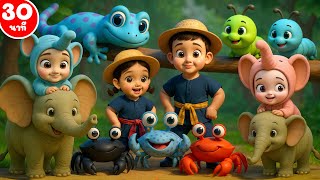 เพลง ตุ๊กแกบอกมา และเพลงเด็กฟังยาวๆ 30 นาที  เพลงเด็กคิดส์มีซอง 2568 | KidsMeSong