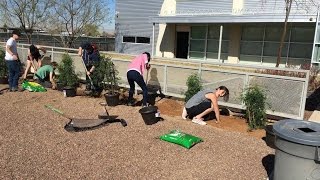 Alternative Spring Break 2017 USEED Campaign Video