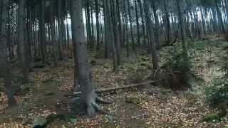 preview picture of video 'The Mount Ślęża - Orienteering'